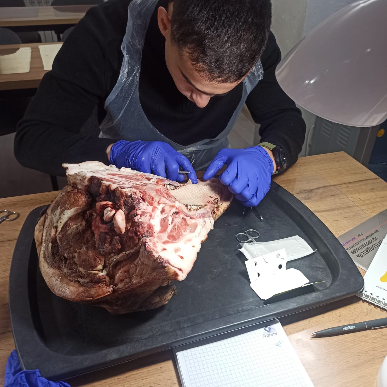 Курс Камиля Хабиева в Астане: Пластика мягких тканей вокруг имплантатов