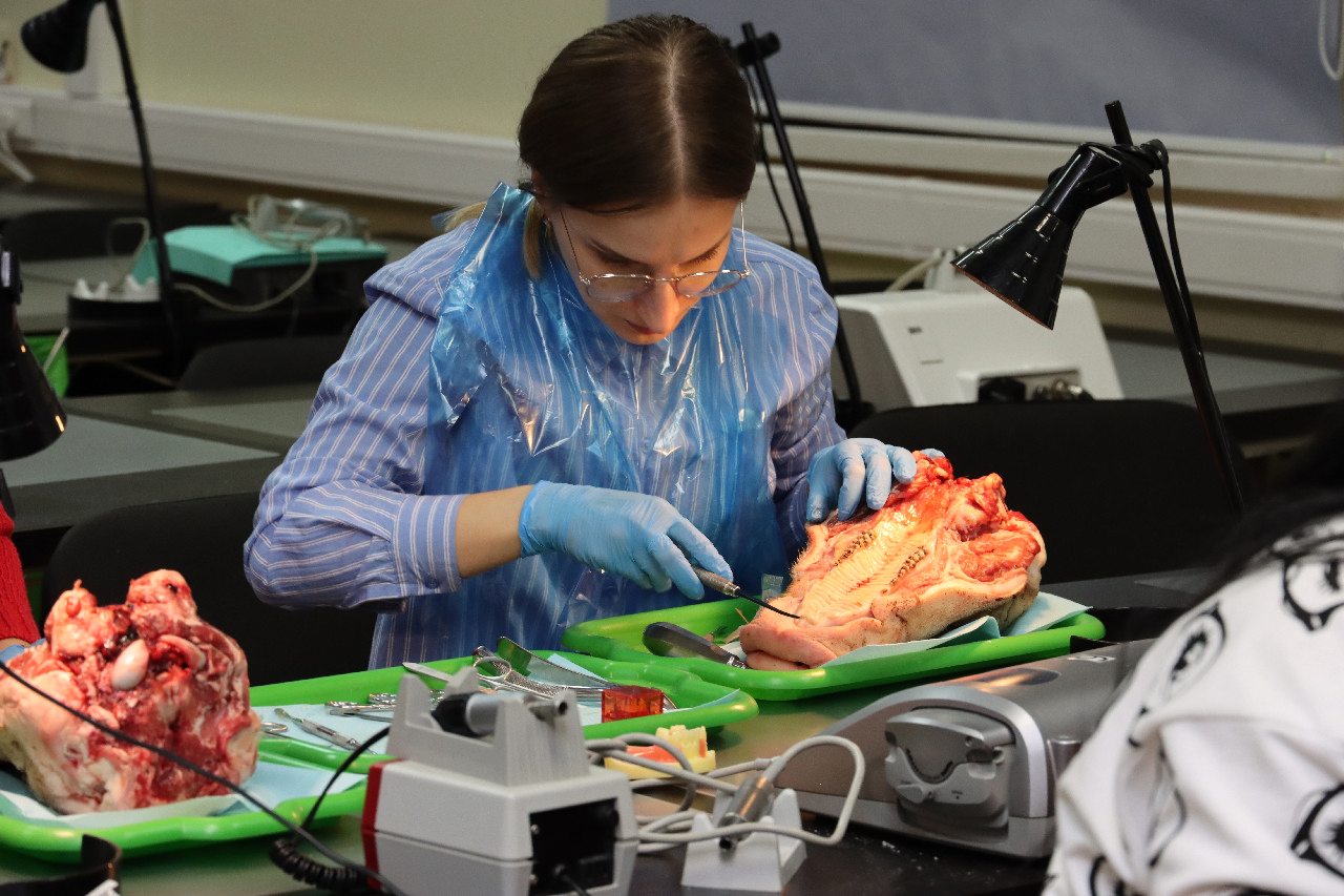 Атравматичное удаление зубов и методики наложения швов