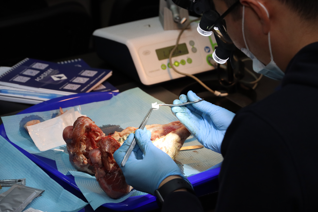 Продвинутый курс по пластике мягких тканей