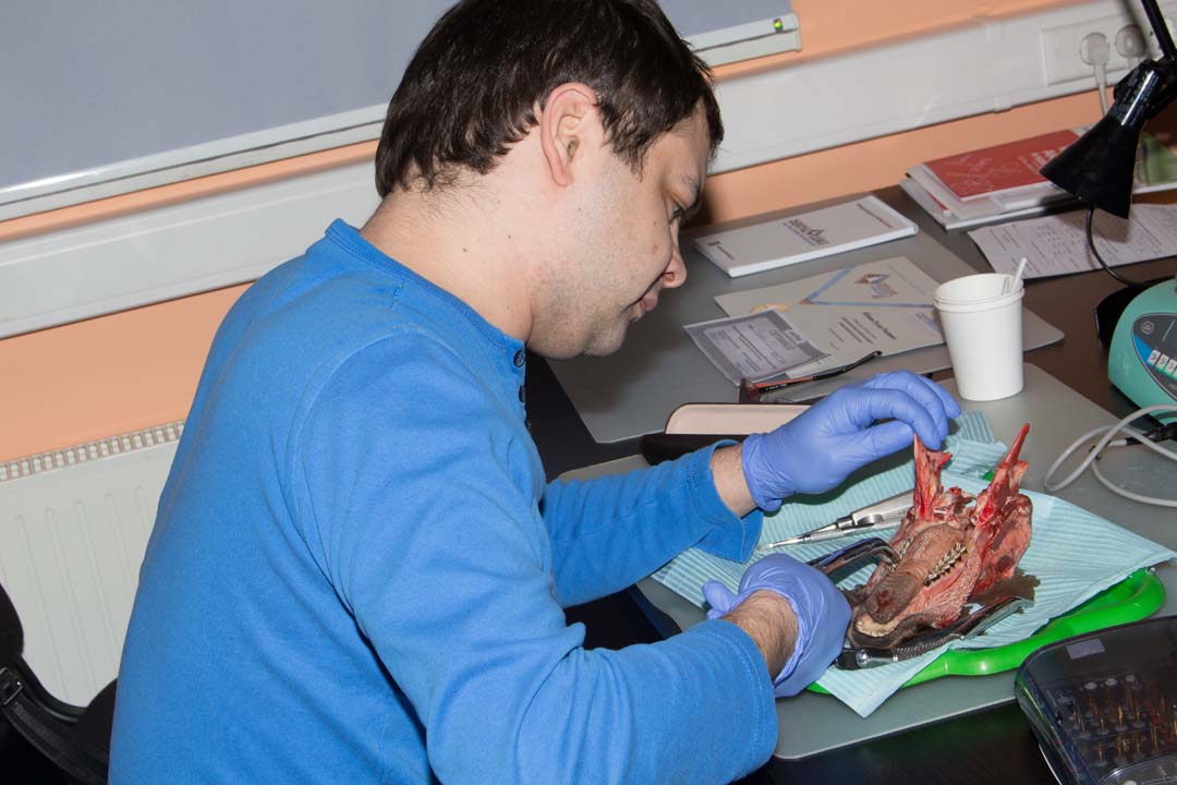 Как спасти имплантат? Стратегия и тактика в лечении периимплантита. Этиопатогенетическая и прогностическая концепции