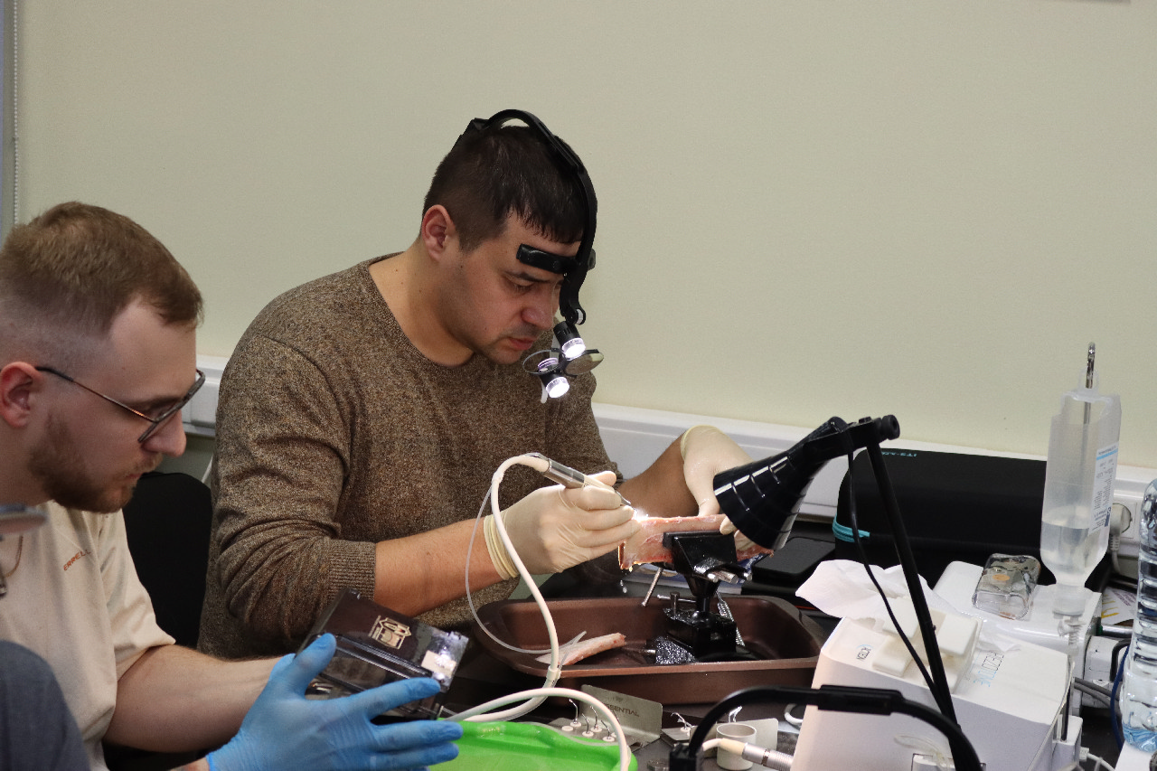 Продвинутый курс по имплантации: костная пластика и синус-лифтинг