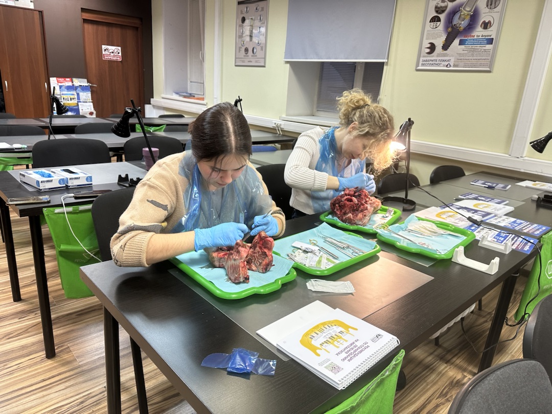 Хирургический курс по пародонтологии