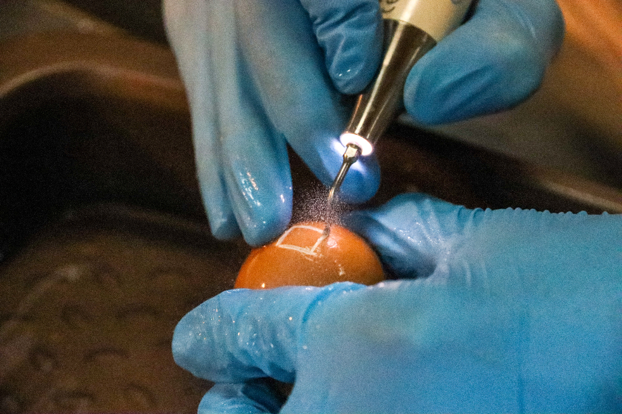 Продвинутый курс по имплантации. Костная пластика и синус-лифтинг