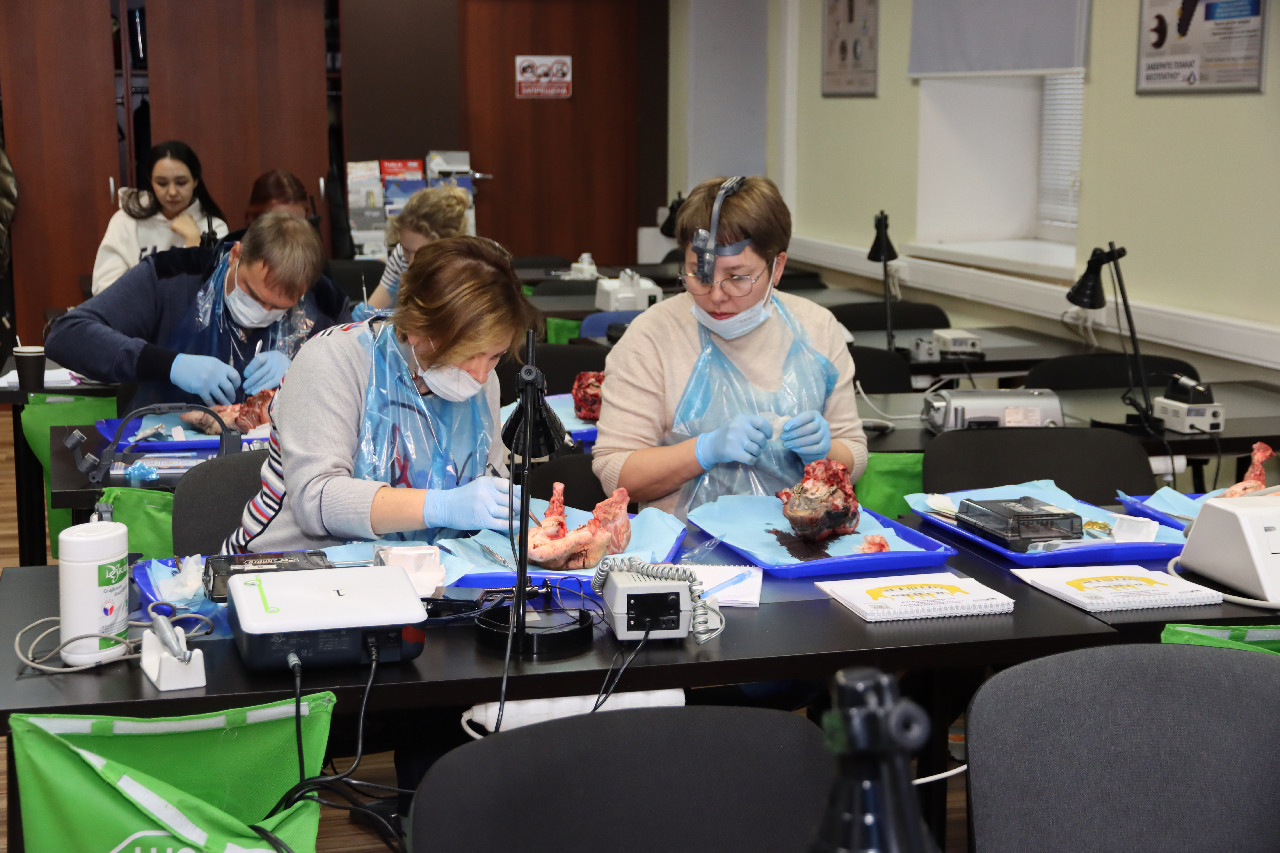 Продвинутый курс по пластике мягких тканей