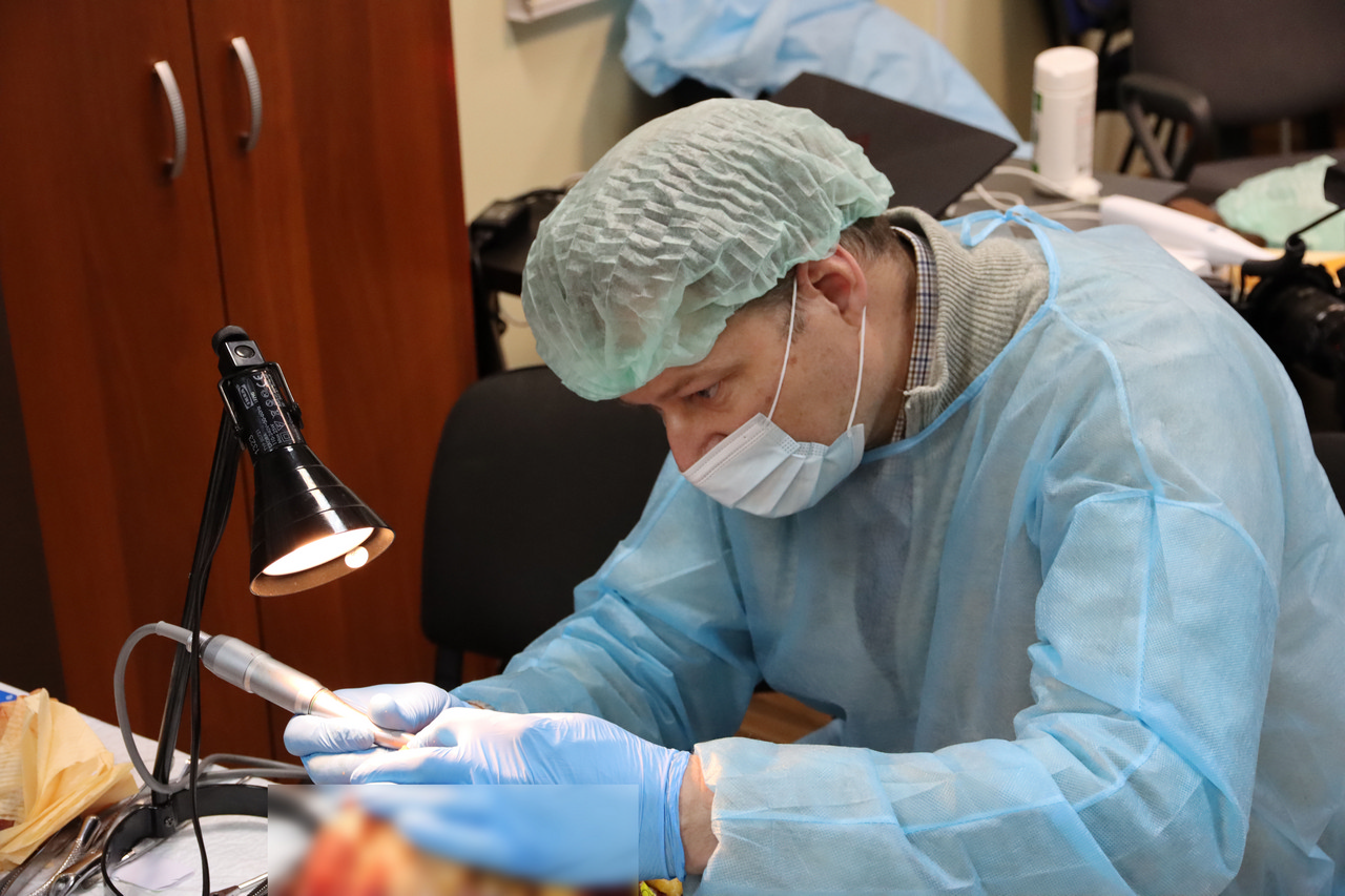 Кадавер-курс Виталия Георгиевича Панцулая 11 апреля