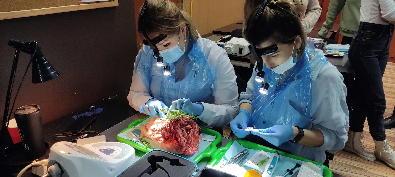 Пластика мягких тканей вокруг имплантатов. Морфологический подход