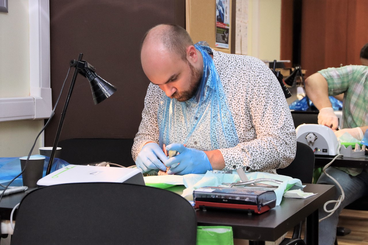 Одномоментная имплантация и немедленная нагрузка