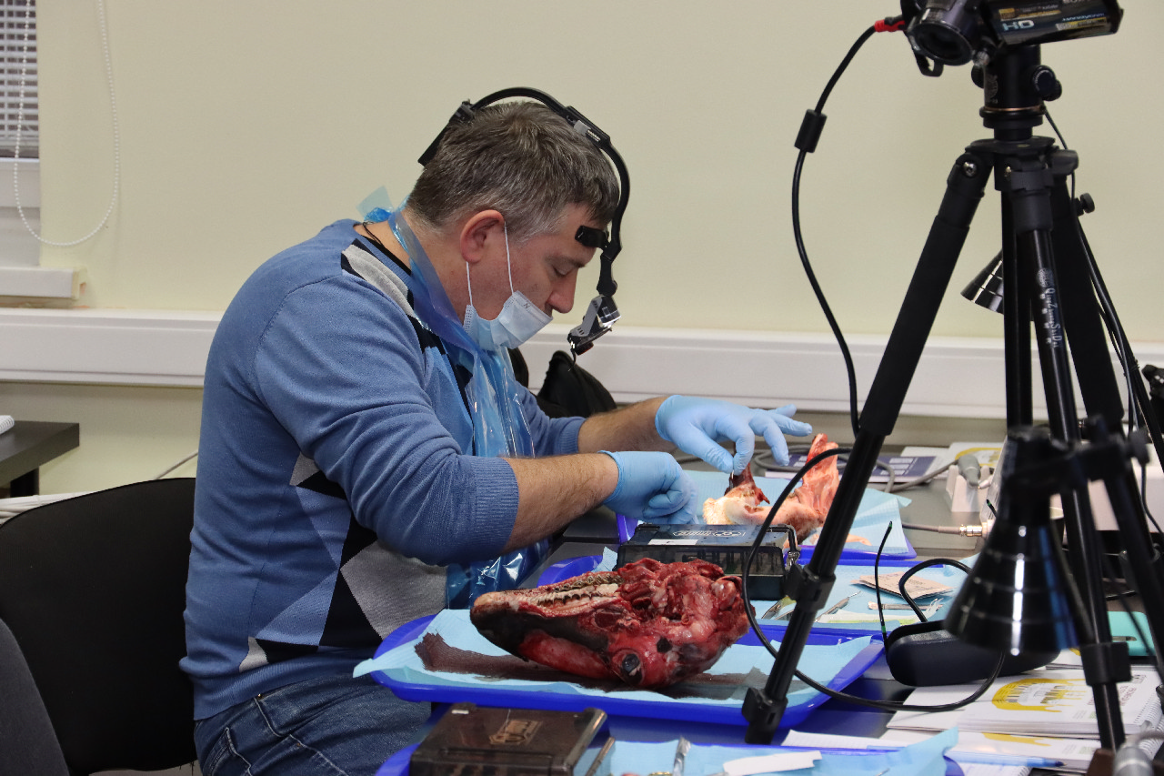 Продвинутый курс по пластике мягких тканей