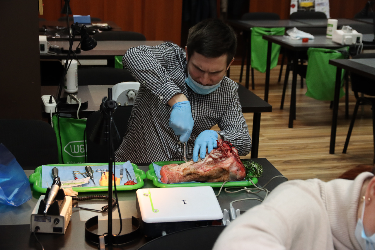 Атравматичное удаление зубов и методики наложения швов