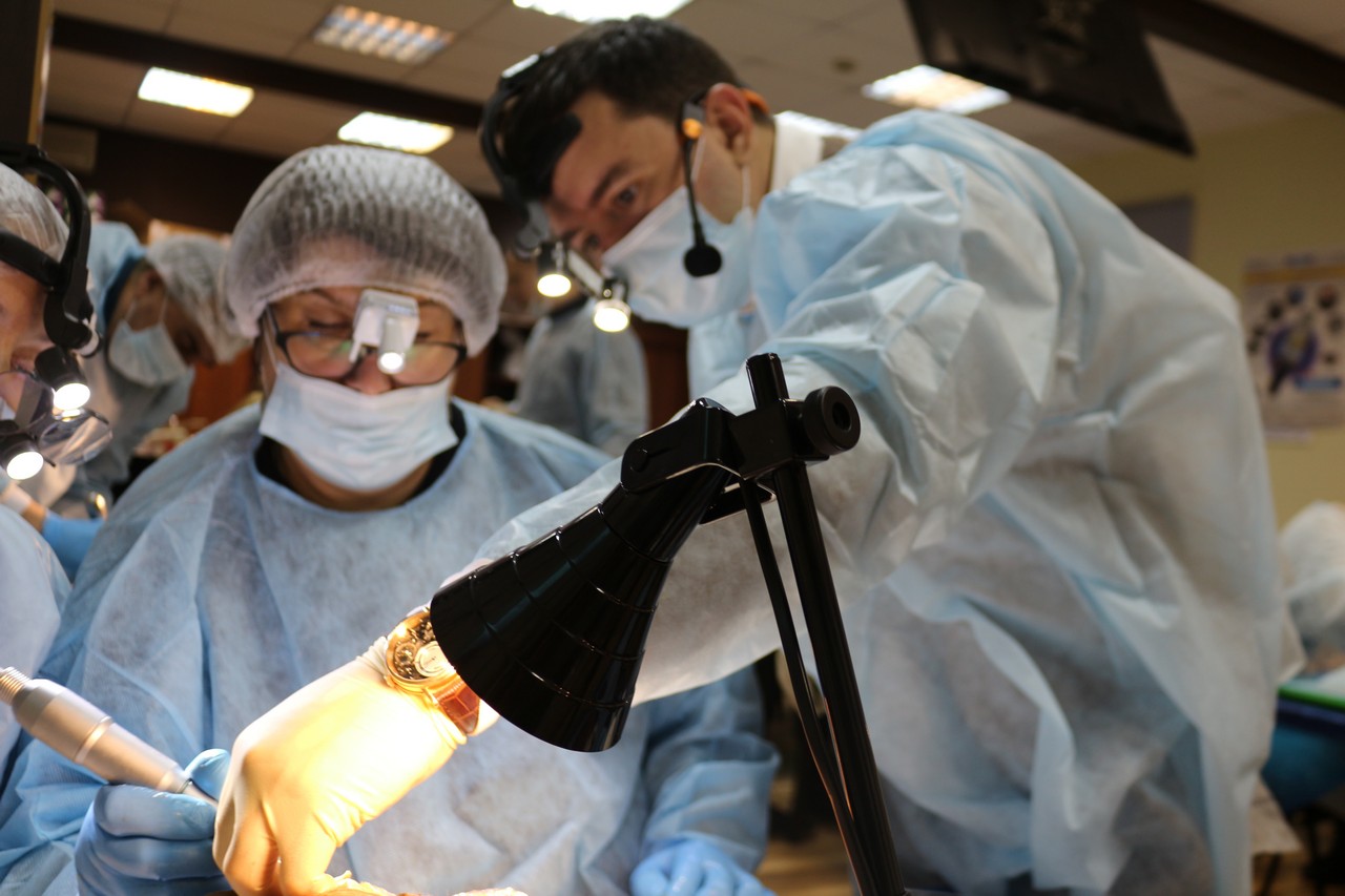 Пост-релиз. Кадавер-курс 1 марта