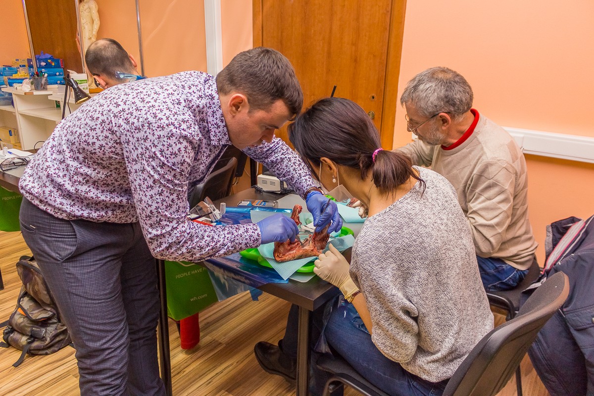 Пластика мягких тканей вокруг имплантатов. Морфологический подход - курс Виталия Панцулаи в УЦ Дентал Гуру.