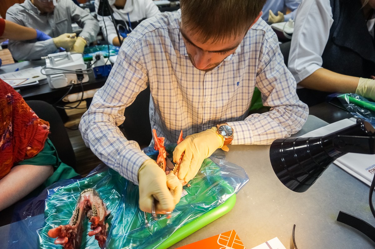 Атравматичное удаление зубов и методики наложения швов. Курс Камиля Наильевича Хабиева, 6 октября