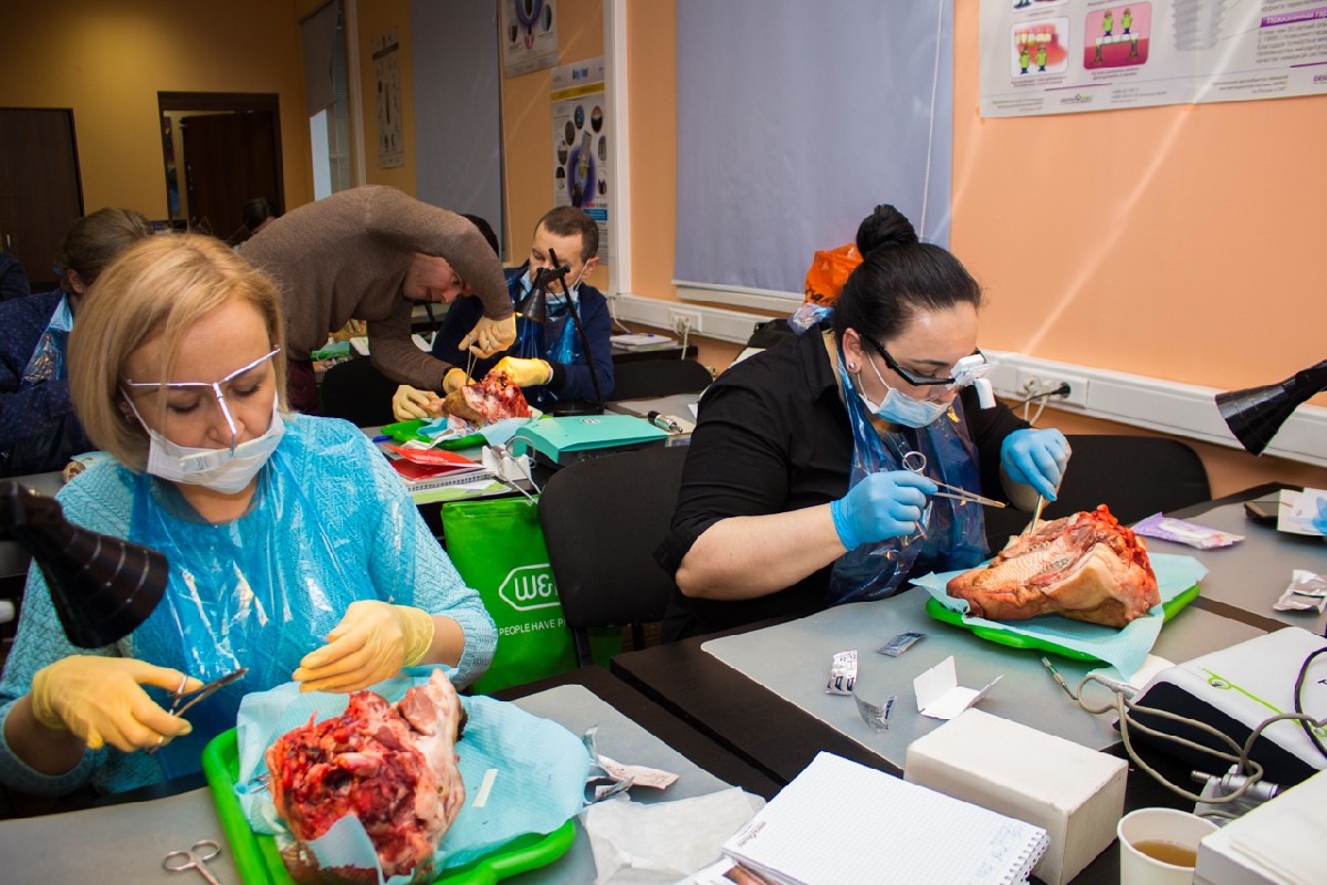 20-21 февраля 2020. Панцулая В.Г. Пластика мягких тканей вокруг имплантатов. Морфологический подход