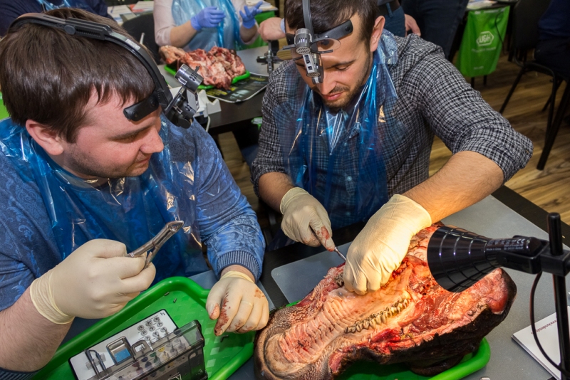 Одномоментная имплантация и немедленная нагрузка