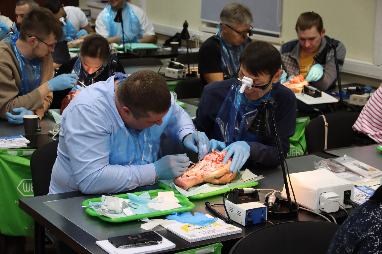 Пластика мягких тканей вокруг имплантатов. Морфологический подход