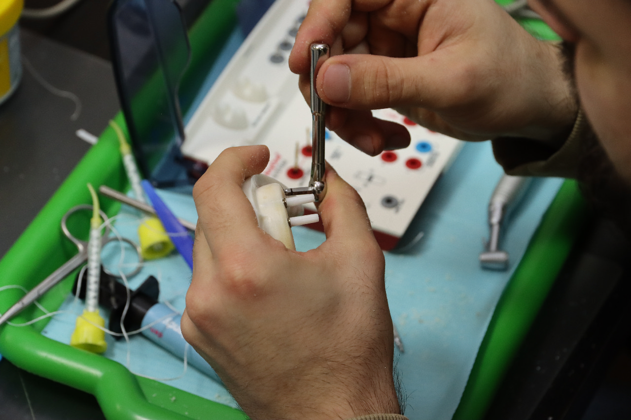 Ортопедия. Уровень Intermediate