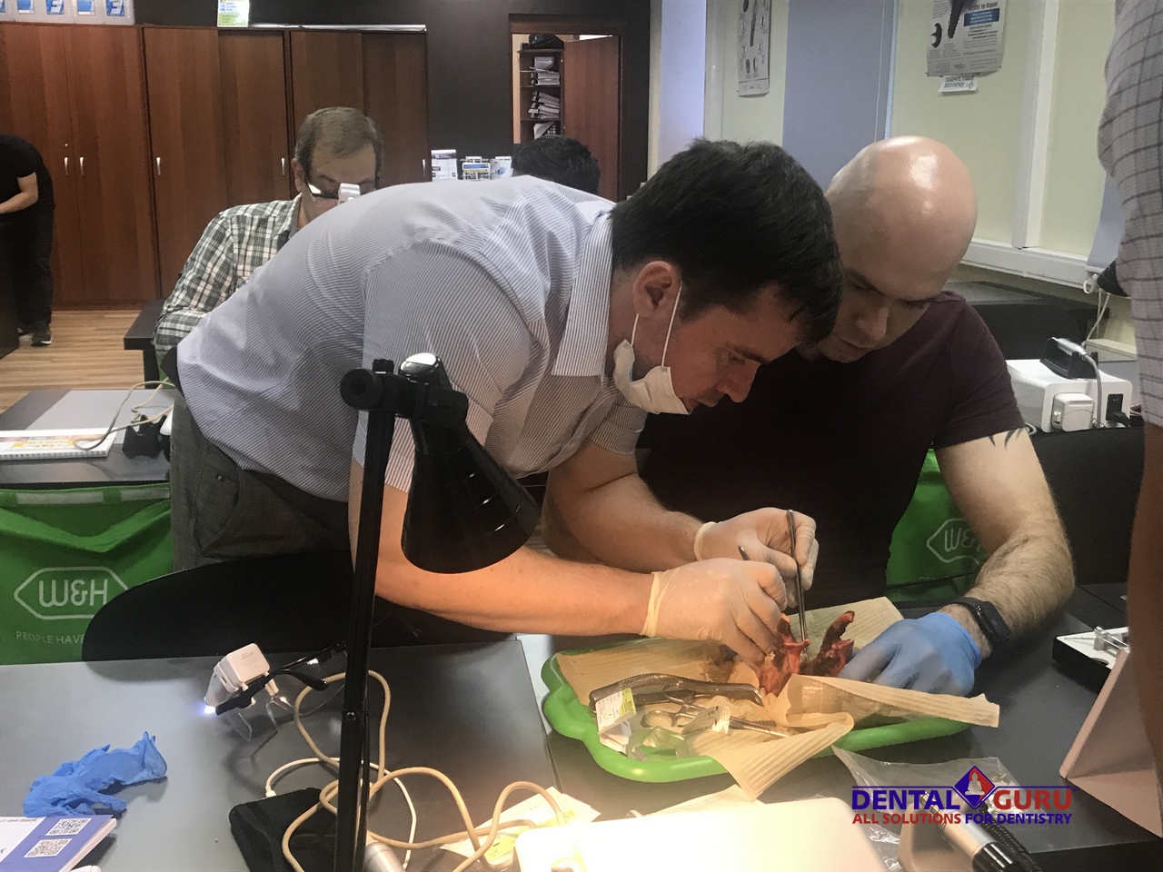 Курс Виталия Панцулая: одномоментная имплантация и немедленная нагрузка