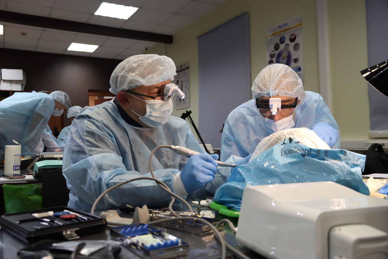 Кадавер-курс Виталия Георгиевича Панцулая 14 ноября