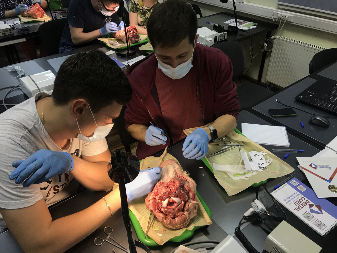 Пластика мягких тканей вокруг имплантатов. Морфологический подход. Пост-релиз 9-10 июня