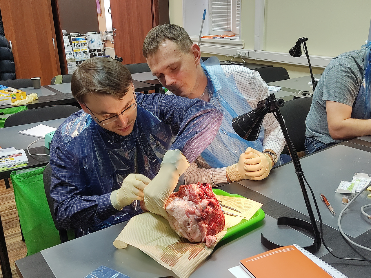 Пластика мягких тканей вокруг имплантатов. Морфологический подход