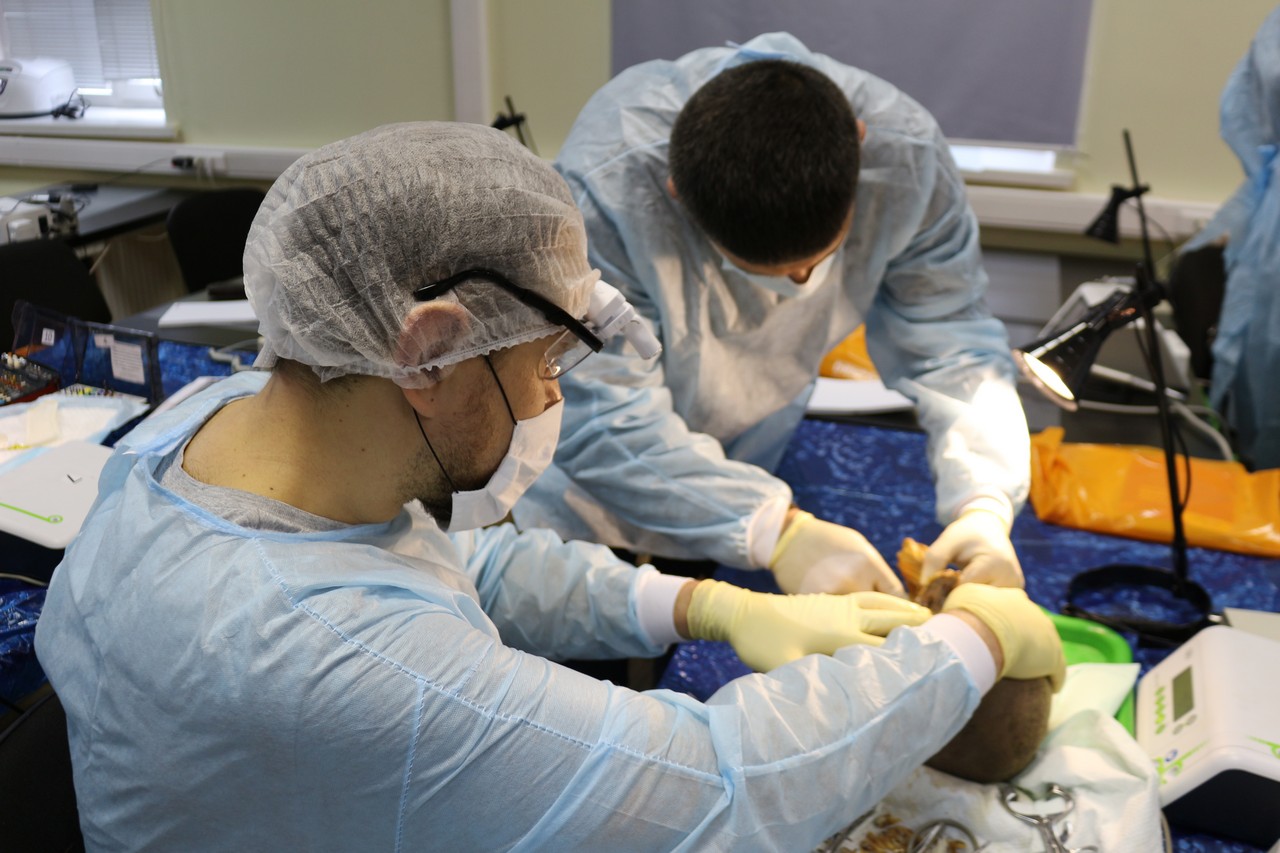 Пост-релиз. Кадавер-курс 1 марта