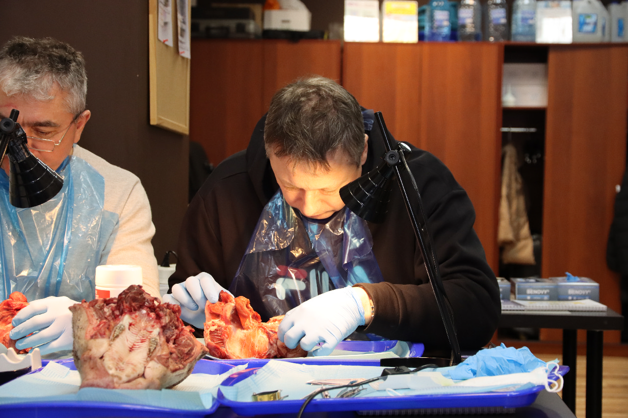 Продвинутый курс по пластике мягких тканей