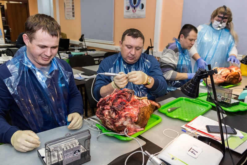 Одномоментная имплантация и немедленная нагрузка