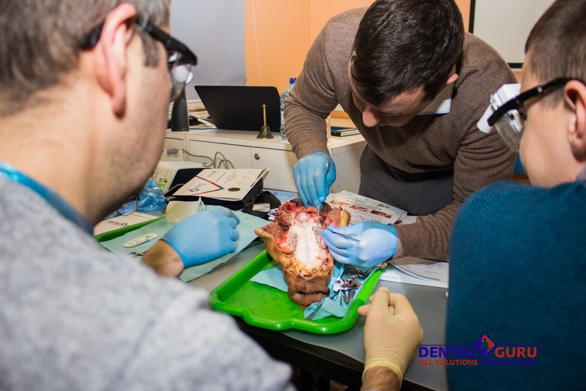 5-6 декабря 2019: уникальный курс Виталия Панцулаи "Пластика мягких тканей вокруг имплантатов. Морфологический подход" в Учебном Центре Дентал Гуру