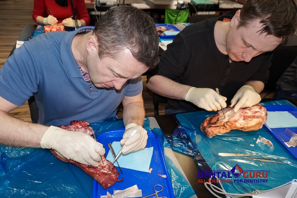 Пластика мягких тканей вокруг имплантатов. Морфологический подход