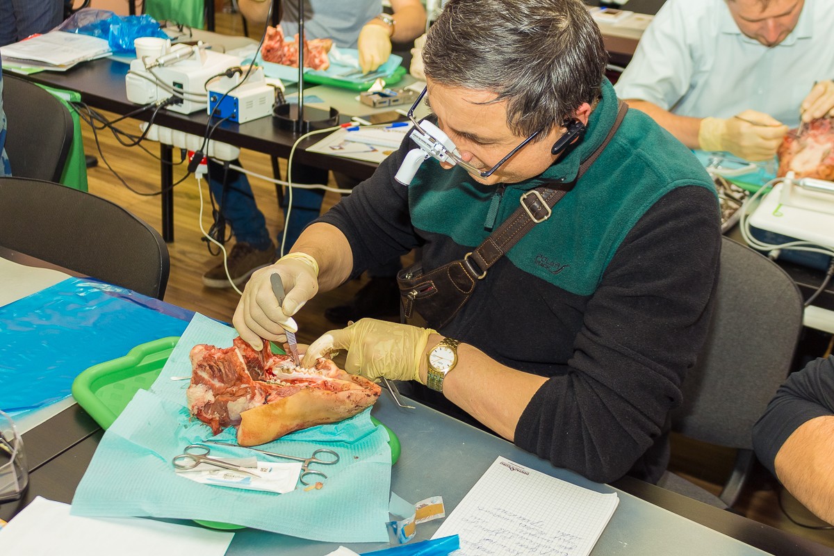Пластика мягких тканей вокруг имплантатов. Морфологический подход - курс Виталия Панцулаи в УЦ Дентал Гуру.