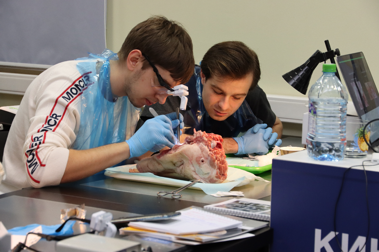 Пластика мягких тканей вокруг имплантатов. Морфологический подход