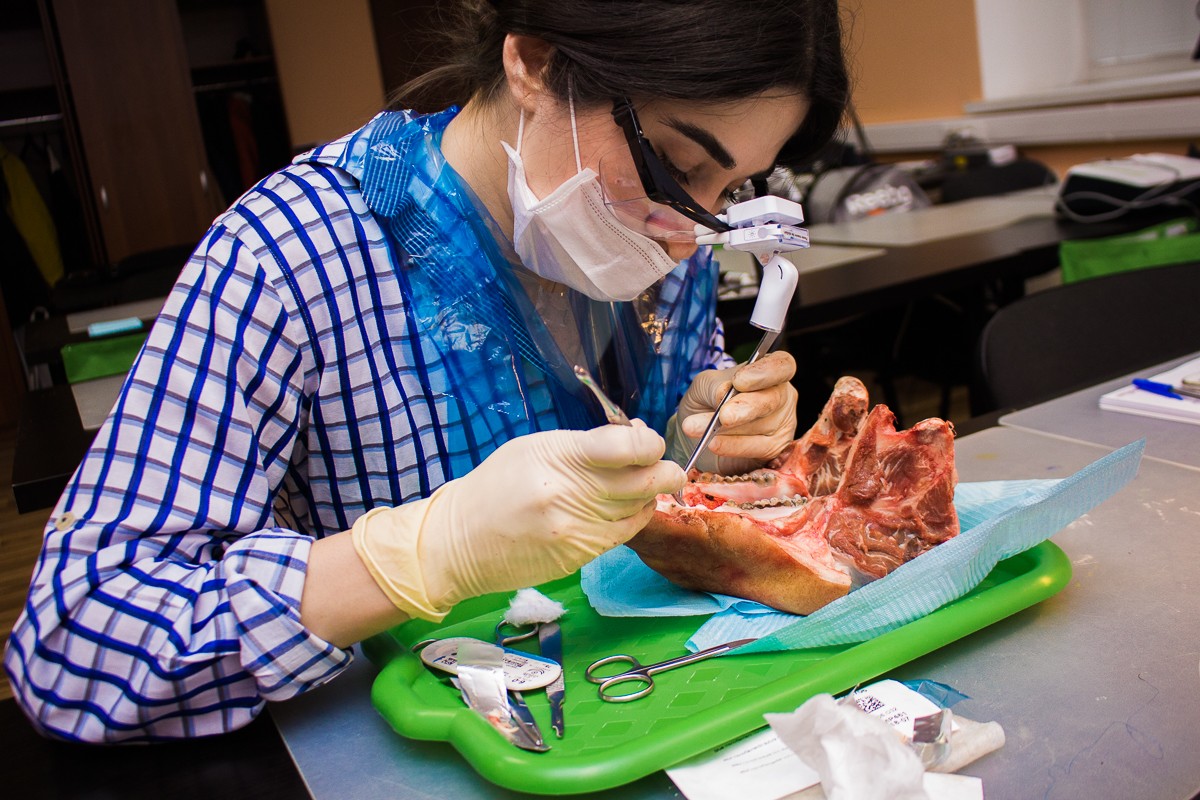 Пластика мягких тканей вокруг имплантатов. Морфологический подход - курс Виталия Панцулаи в УЦ Дентал Гуру.