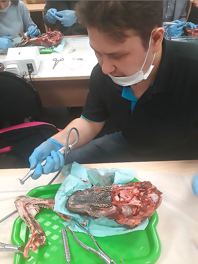 30-31 октября. IV Международный Стоматологический Форум DentalStart