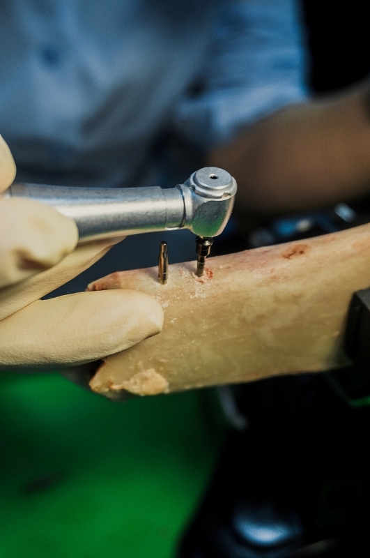 Базовый курс по имплантации