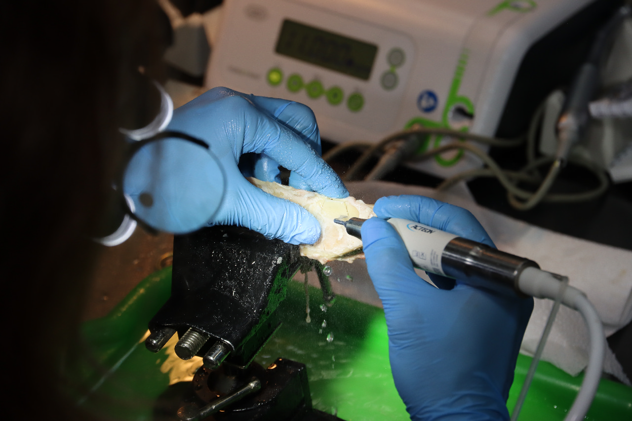 Продвинутый курс по имплантации: костная пластика и синус-лифтинг