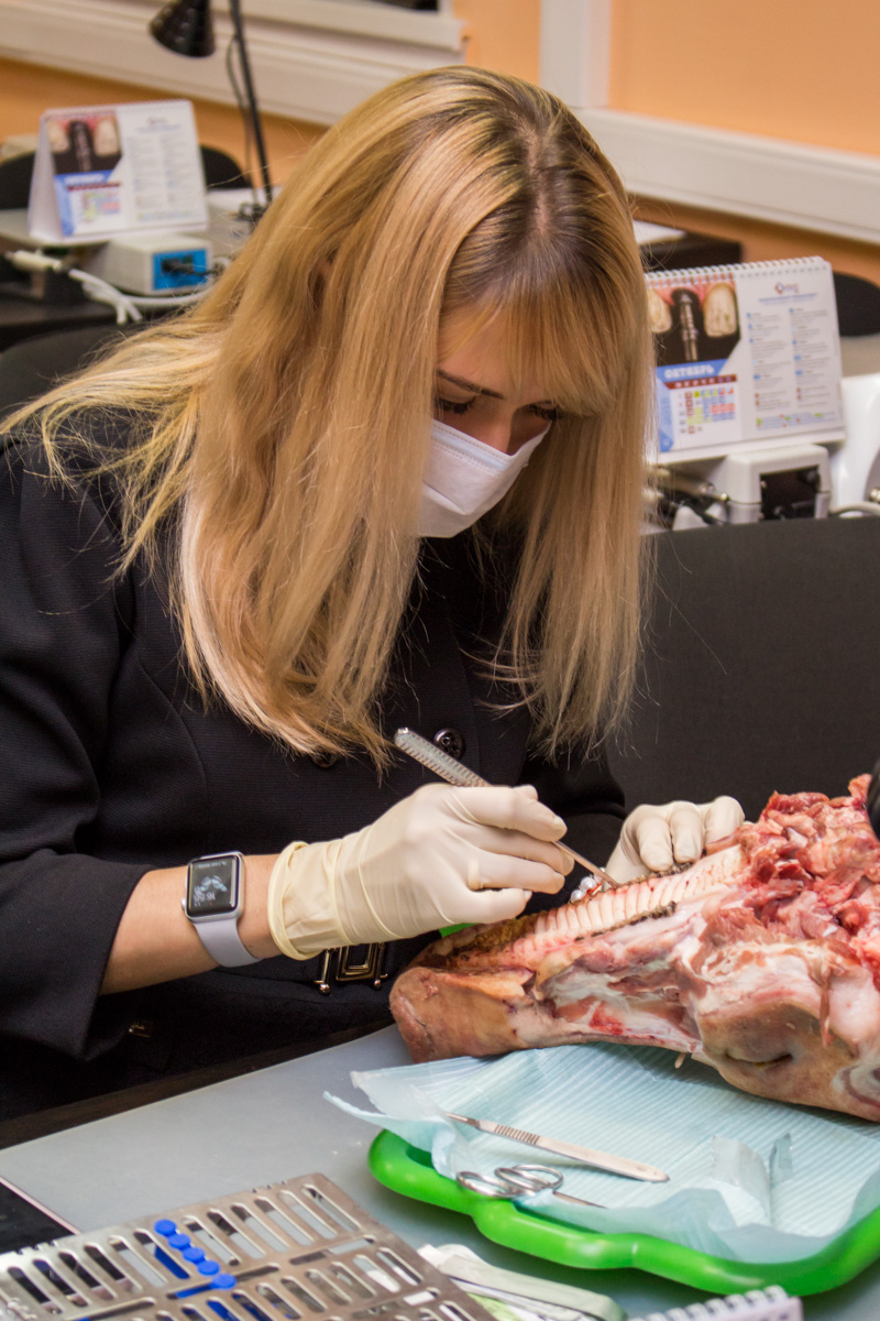 Хирургический курс по пародонтологии