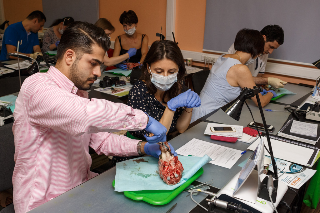 Атравматичное удаление зубов и методики наложения швов