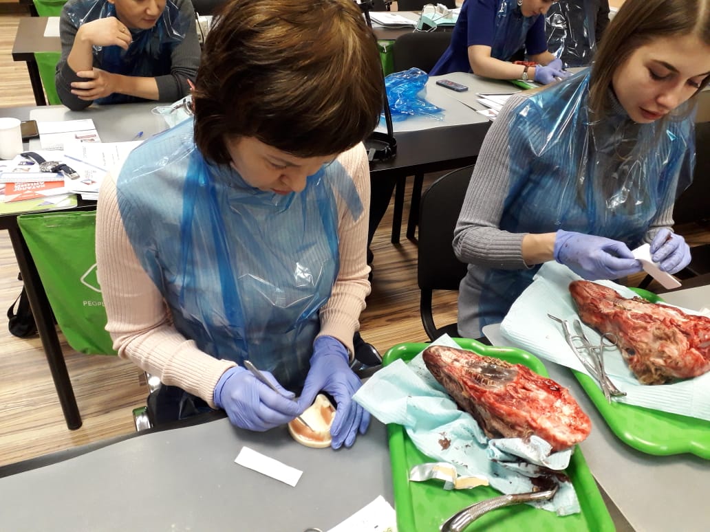 Атравматичное удаление зубов и методики наложения швов