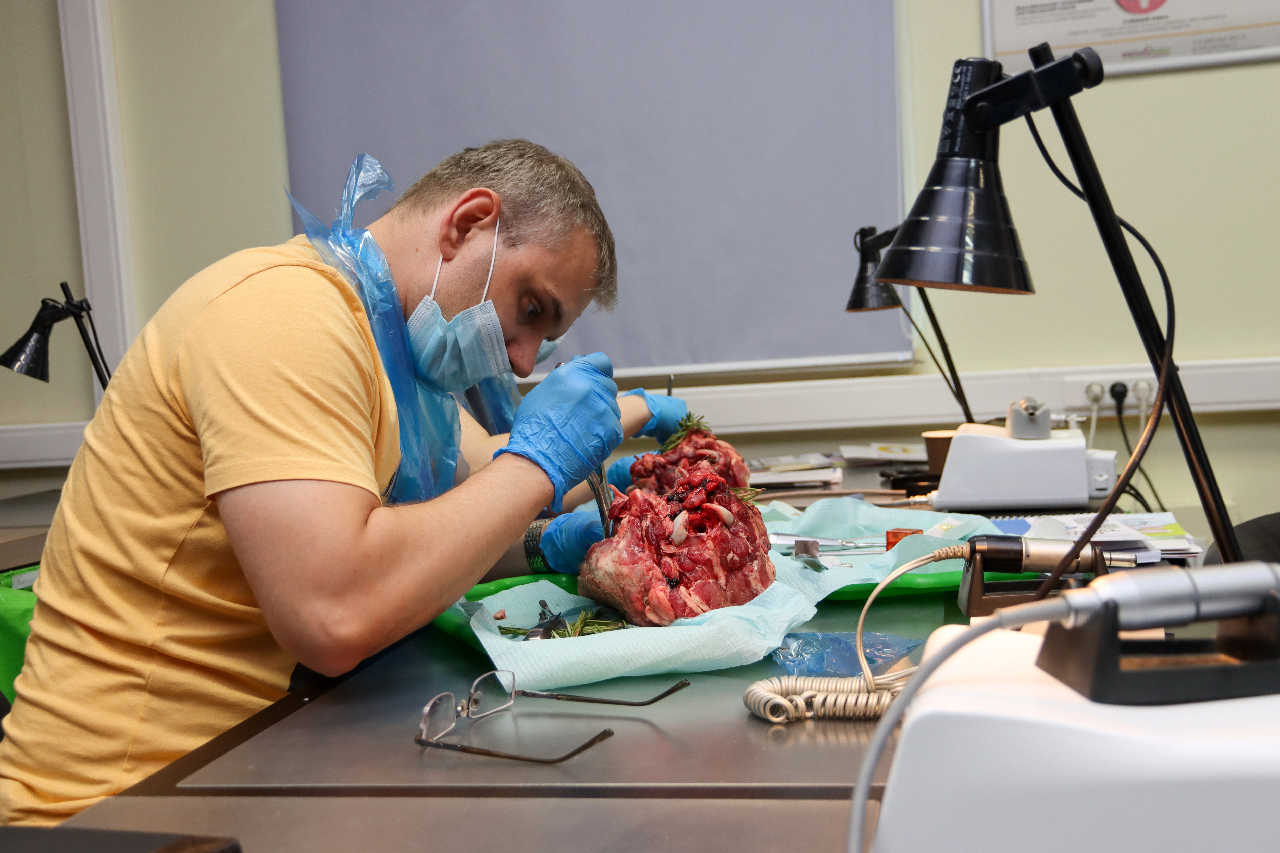 Атравматичное удаление зубов и методики наложения швов