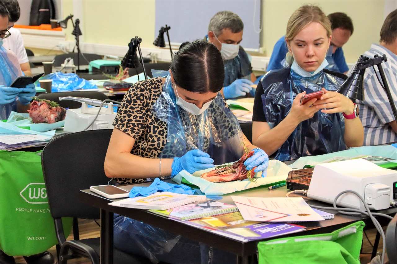 Одномоментная имплантация и немедленная нагрузка