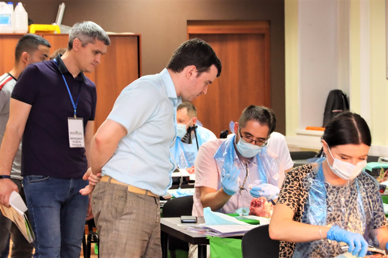 Одномоментная имплантация и немедленная нагрузка