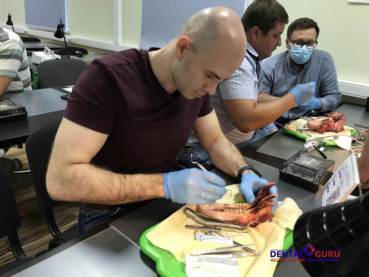 Курс Виталия Панцулая: одномоментная имплантация и немедленная нагрузка