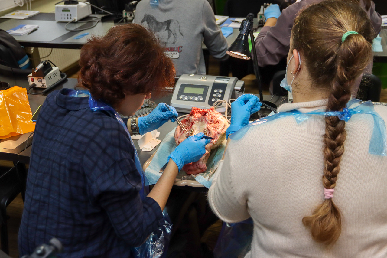 Пластика мягких тканей вокруг имплантатов. Морфологический подход. Пост-релиз 15-16 сентября