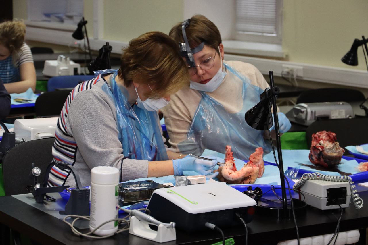 Продвинутый курс по пластике мягких тканей