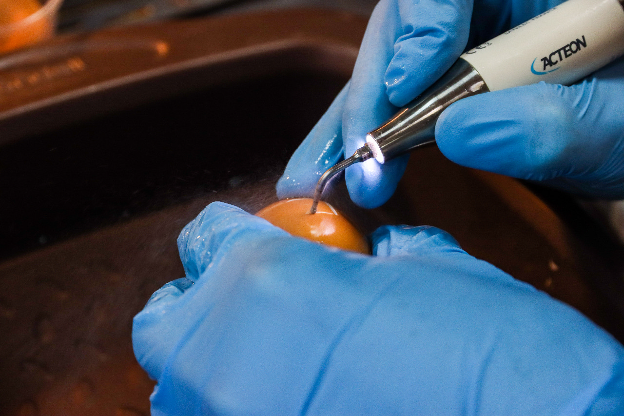 Продвинутый курс по имплантации. Костная пластика и синус-лифтинг