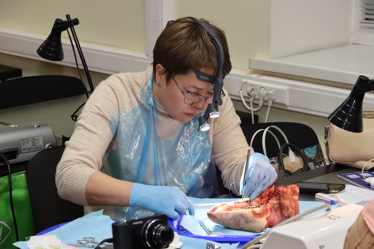 Продвинутый курс по пластике мягких тканей