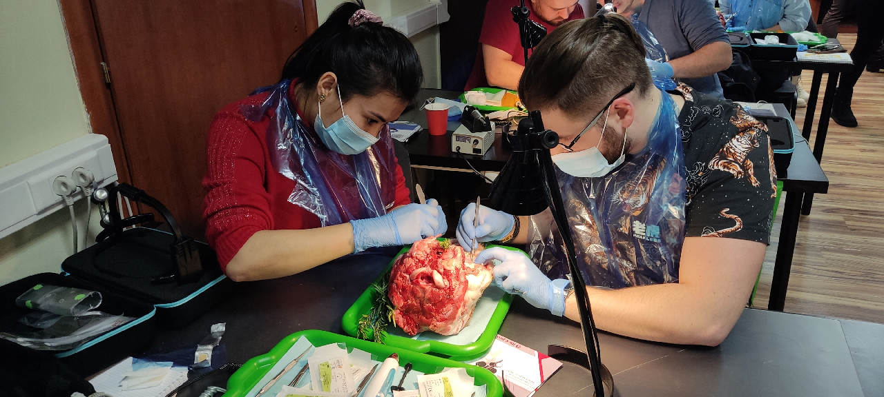 Пластика мягких тканей вокруг имплантатов. Морфологический подход