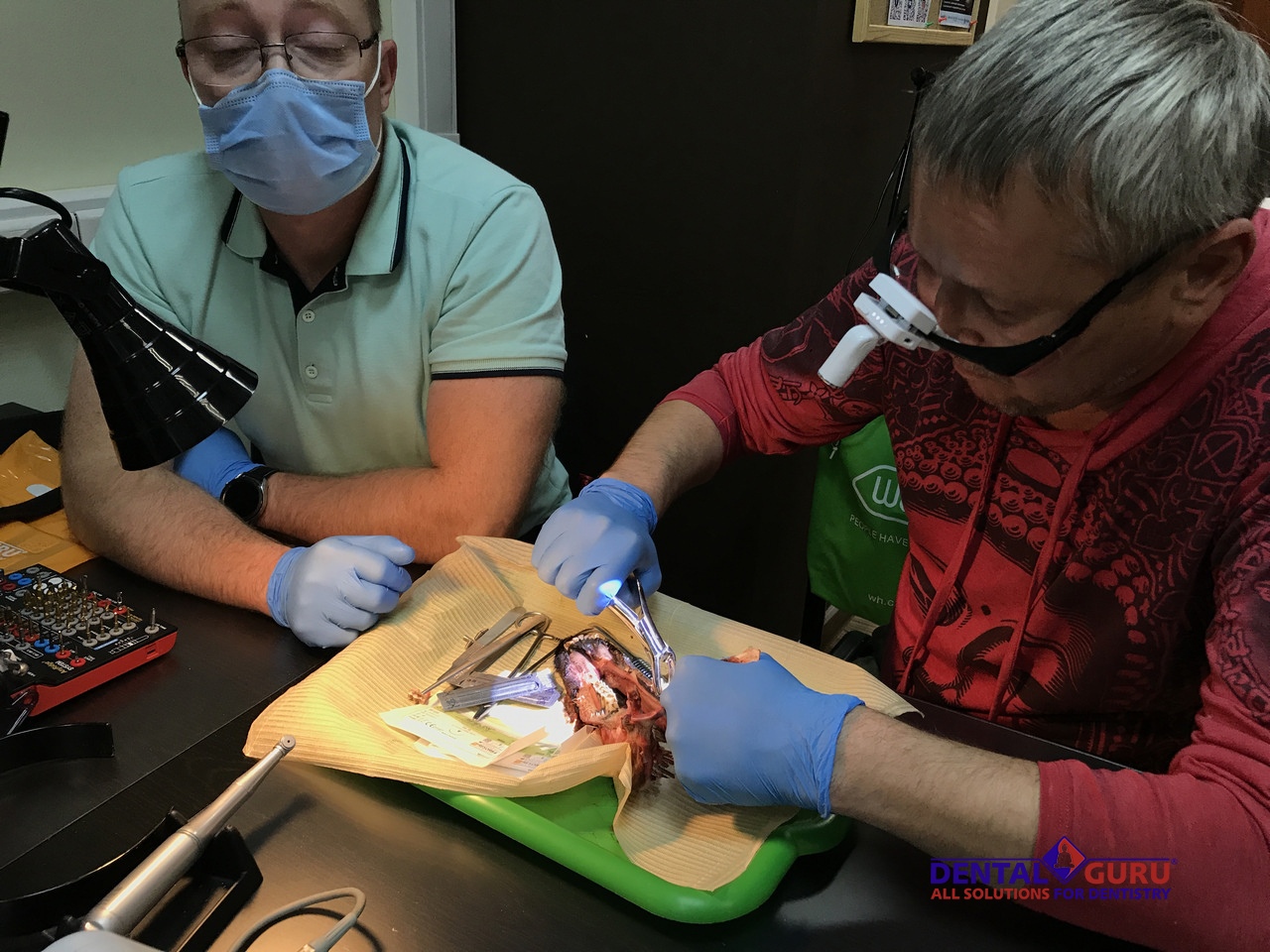 Курс Виталия Панцулая: одномоментная имплантация и немедленная нагрузка