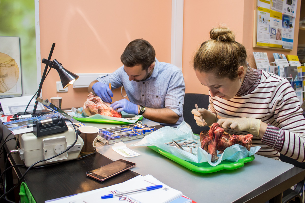 Хирургический курс по пародонтологии