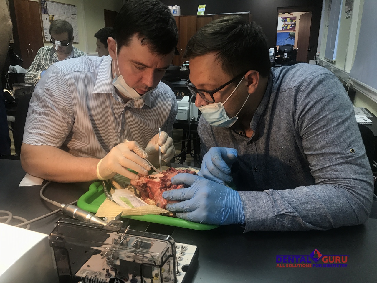 Курс Виталия Панцулая: одномоментная имплантация и немедленная нагрузка